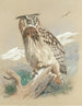 Grand-duc Painting - Archibald Thorburn — artwork view