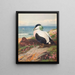 Eider Duck - Archibald Thorburn — framed artwork on a wall