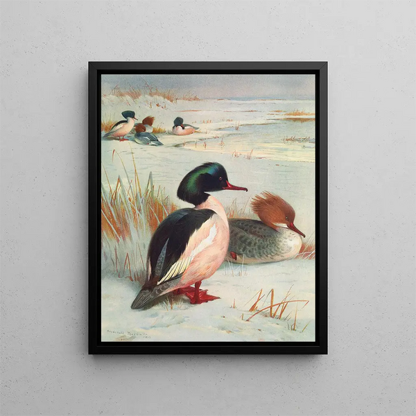 Harle bièvre - Archibald Thorburn — ingelijst kunstwerk aan de muur