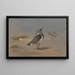 Vanneaux verts - Archibald Thorburn — ingelijst kunstwerk aan de muur