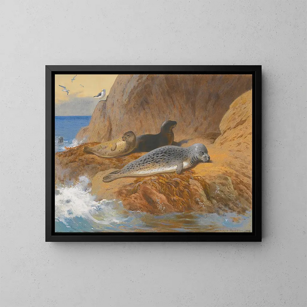 van Grijze zeehonden en Gewone zeehonden in rust - Archibald Thorburn — ingelijst kunstwerk aan de muur