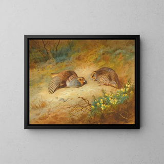 Archibald Thorburn - Grey Partridge.webp