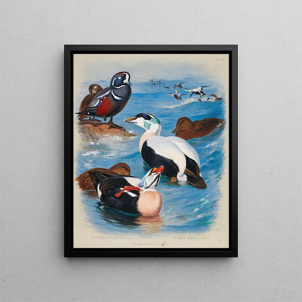 Kanaries in harlekijn en eiders - Archibald Thorburn — ingelijst kunstwerk aan de muur