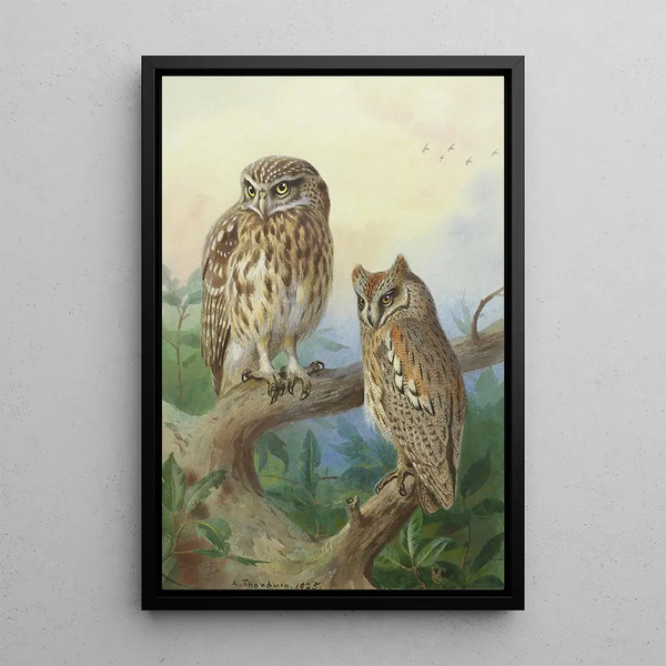 Reproductie van het schilderij Uil van de bosuil en kleine uil - Archibald Thorburn