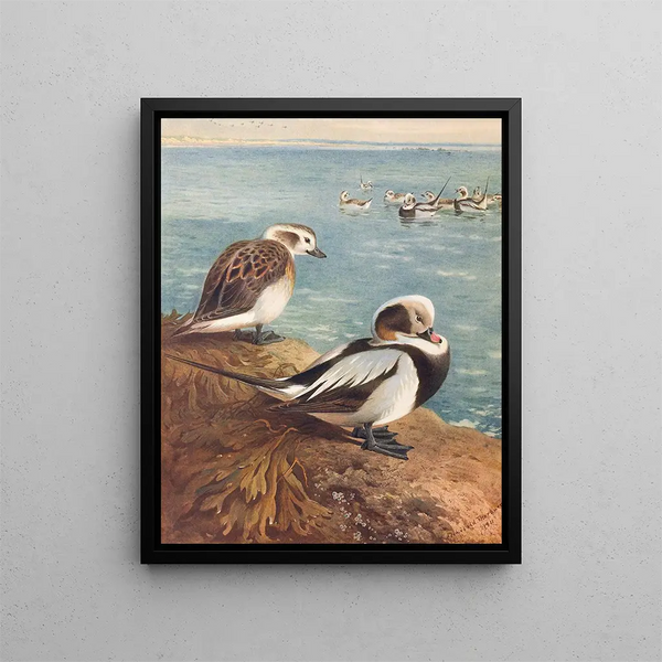 Eenden in de winterse laklaag - Archibald Thorburn — ingelijst kunstwerk aan de muur