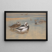 Long-tailed Ducks - Archibald Thorburn — framed artwork on a wall
