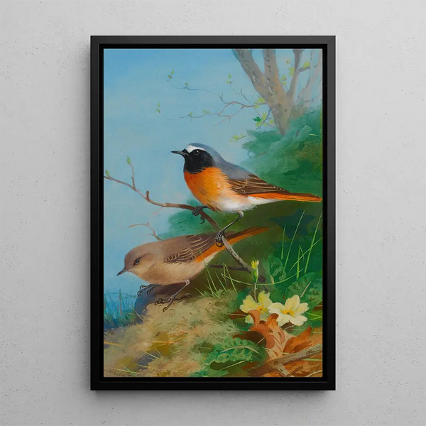 Reproductie van het schilderij Koppel van roodborstjes - Archibald Thorburn