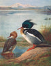 Harle Huppé - Archibald Thorburn — artwork view