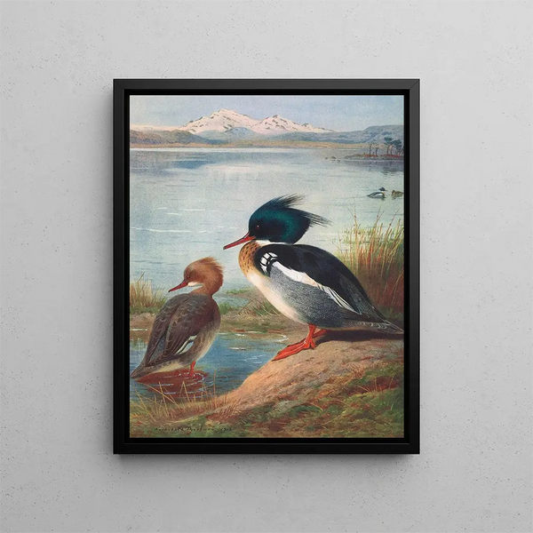 Harle huppé - Archibald Thorburn — ingelijst kunstwerk aan de muur