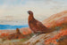 The Challenge - Archibald Thorburn — artwork view
