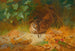 Bécasse - Archibald Thorburn — weergave van het kunstwerk