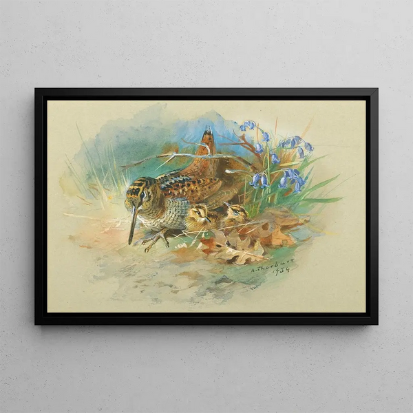 Bécasse en jongen - Archibald Thorburn — ingelijst kunstwerk aan de muur