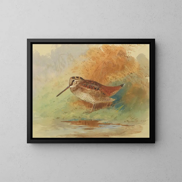 Bécasse aan de waterkant - Archibald Thorburn — ingelijst kunstwerk aan de muur
