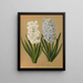 Hyacinths: La Tour d’Auvergne and Grand Lilas – Arentina Hendrica Arendsen — framed art print on a wall