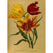 Reproductie van het schilderij Tulpen papegaai - Arentina Hendrica Arendsen