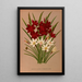 Schizostylis coccinea Zephyranthes candida - Arentina Hendrica Arendsen — framed artwork on a wall