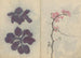 schetsboek Pl009 - Ariyoshi Kondo — weergave van het kunstwerk
