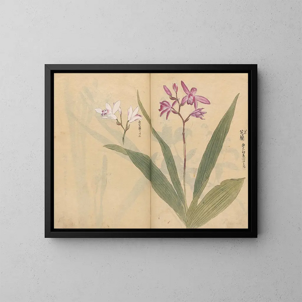 schetsboek Pl015 - Ariyoshi Kondo — ingelijst kunstwerk aan de muur
