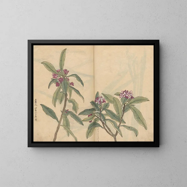 schetsboek Pl022 - Ariyoshi Kondo — ingelijst kunstwerk aan de muur