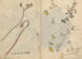 Sketchbook Pl026 - Ariyoshi Kondo — artwork view