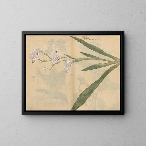 schetsboek Pl031 - Ariyoshi Kondo — ingelijst kunstwerk aan de muur