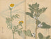 schetsboek Pl036 - Ariyoshi Kondo — weergave van het kunstwerk
