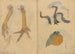 Sketchbook Pl038 - Ariyoshi Kondo — artwork view