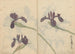 Sketchbook Pl043 - Ariyoshi Kondo — artwork view