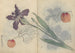 Sketchbook Pl045 - Ariyoshi Kondo — artwork view