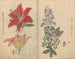 schetsboek Pl046 - Ariyoshi Kondo — weergave van het kunstwerk