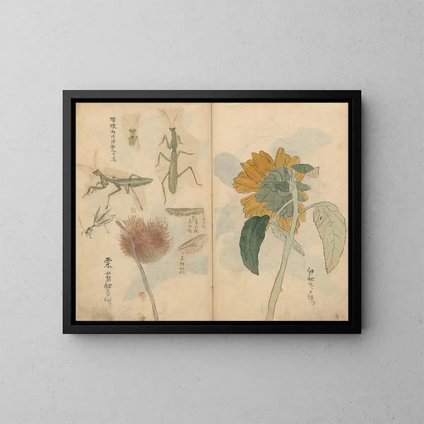 schetsboek Pl048 - Ariyoshi Kondo — ingelijst kunstwerk aan de muur