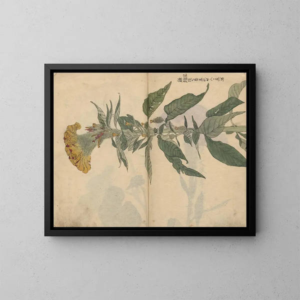 schetsboek Pl049 - Ariyoshi Kondo — ingelijst kunstwerk aan de muur
