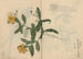 schetsboek Pl052 - Ariyoshi Kondo — weergave van het kunstwerk