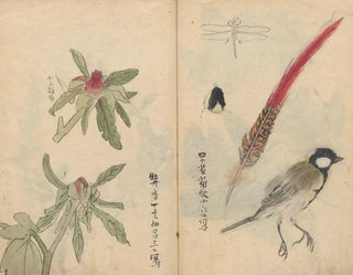 Ariyoshi Kondo - Sketchbook Pl053.webp