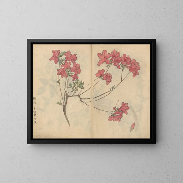 schetsboek Pl056 - Ariyoshi Kondo — ingelijst kunstwerk aan de muur