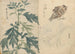 Sketchbook Pl070 - Ariyoshi Kondo — artwork view