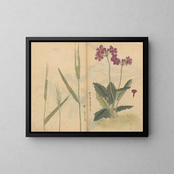 schetsboek Pl073 - Ariyoshi Kondo — ingelijst kunstwerk aan de muur