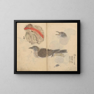 Ariyoshi Kondo - Sketchbook Pl081.webp