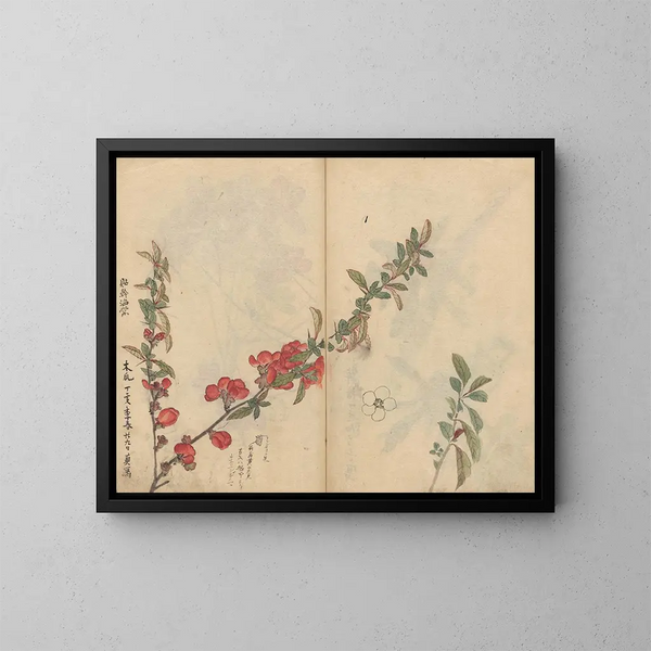 Carnet de croquis Pl090 - Ariyoshi Kondo — ingelijst kunstwerk aan de muur
