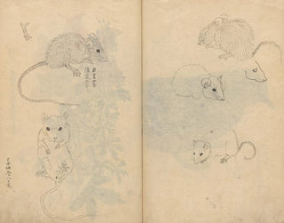 Ariyoshi Kondo - Sketchbook Pl092.webp