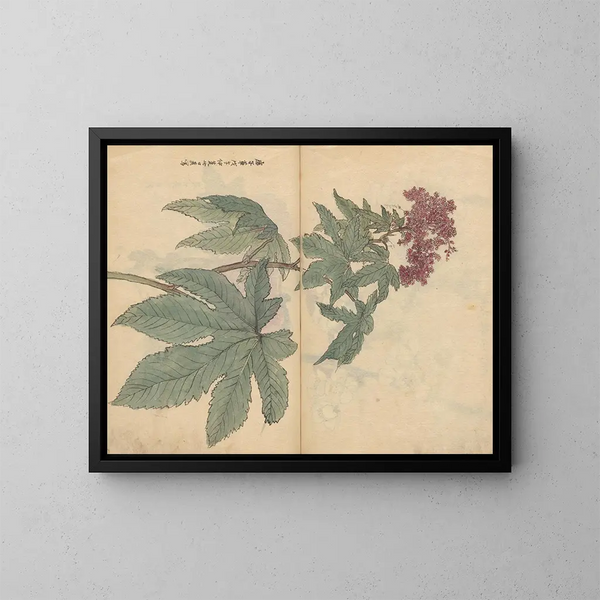 schetsboek Pl095 - Ariyoshi Kondo — ingelijst kunstwerk aan de muur