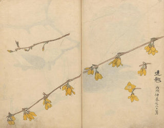 Ariyoshi Kondo - Sketchbook Pl104.webp