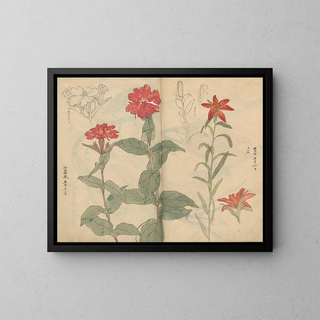 Ariyoshi Kondo - Sketchbook Pl111.webp