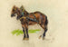 Studie van een paard - Armand Guillaumin — weergave van het kunstwerk