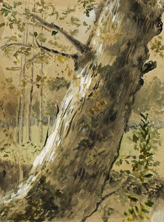 ArthurJoseph Gueniot - Etude de paysage en Vende La RochesurYon Tronc darbre.webp