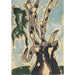 Reproductie van het schilderij Sycomore - Arthur Dove