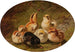 Een broedsel kuikens - Arthur Fitzwilliam Tait — weergave van het kunstwerk