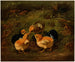 Kippen - Arthur Fitzwilliam Tait — weergave van het kunstwerk