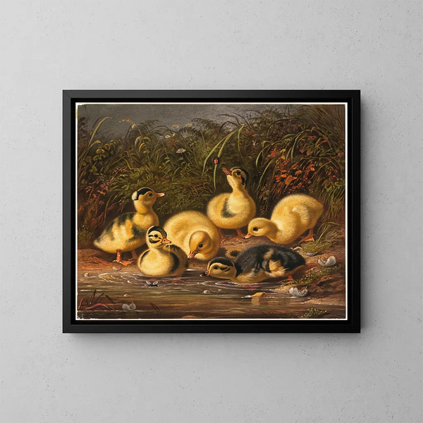 Groepje eendjes - Arthur Fitzwilliam Tait — ingelijst kunstwerk aan de muur