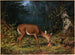 Moederliefde - Arthur Fitzwilliam Tait — weergave van het kunstwerk